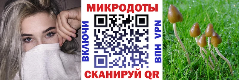 Псилоцибиновые грибы прущие грибы  Зея 